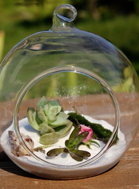 微景观生态瓶 悬挂玻璃花瓶 多肉植物花瓶 婚庆工艺品