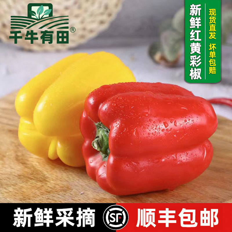新鲜红黄彩椒生吃甜脆沙拉优选