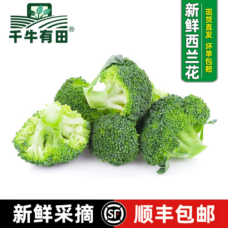 鲜嫩翠绿、清脆爽口、嫩绿清甜