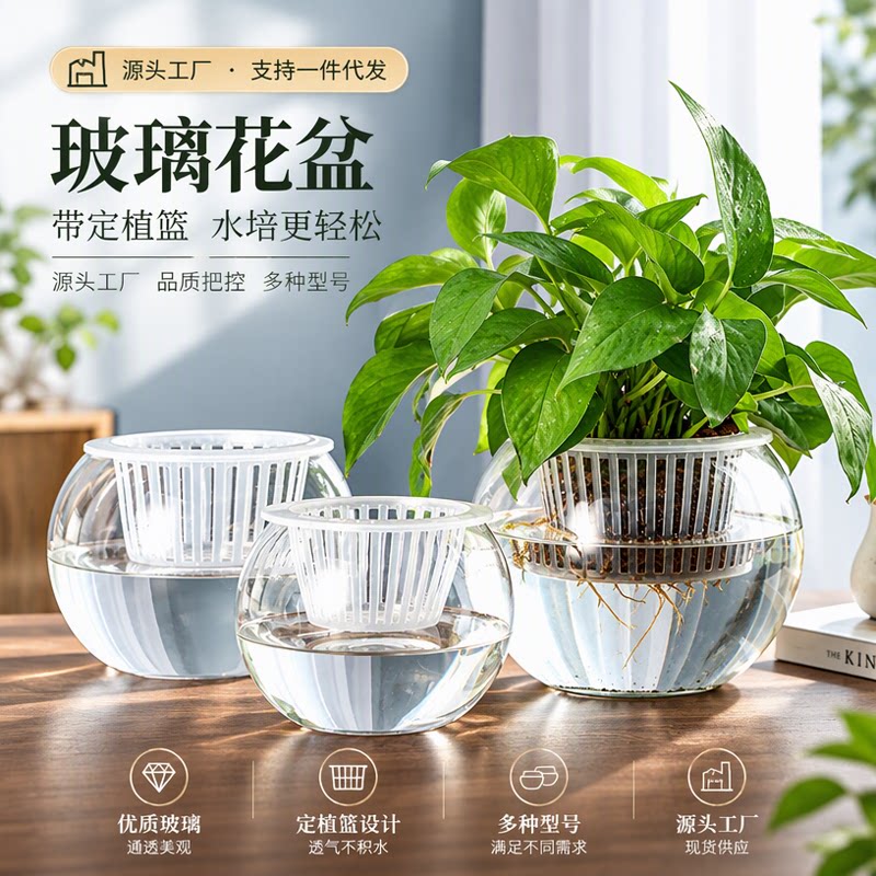 促销水培植物玻璃瓶绿萝大号加厚玻璃花盆圆球型鱼缸器皿花瓶批发