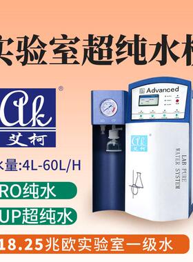 艾柯表面处理超纯水机 10L/H 表面处理实验室一级水半导体设备