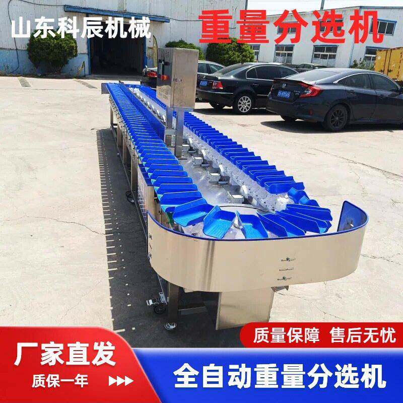 橙子智能水果分选机柑橘凤梨全自动重量分选机分级秤称重分选机