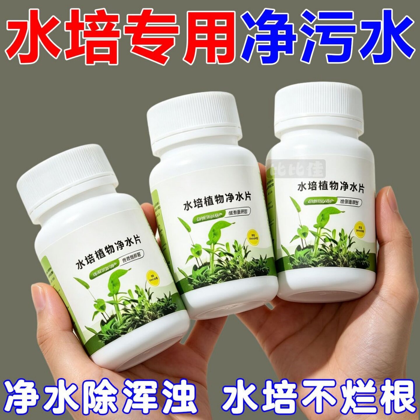 水培植物净水片除臭杀菌消毒富贵竹碗睡莲专用净化水质鲜花保鲜片