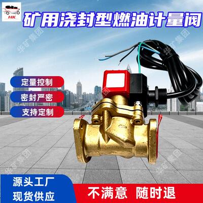 矿用浇封型燃油计量阀 密封严密 DFE24-J(B)矿用浇封型燃油计量阀