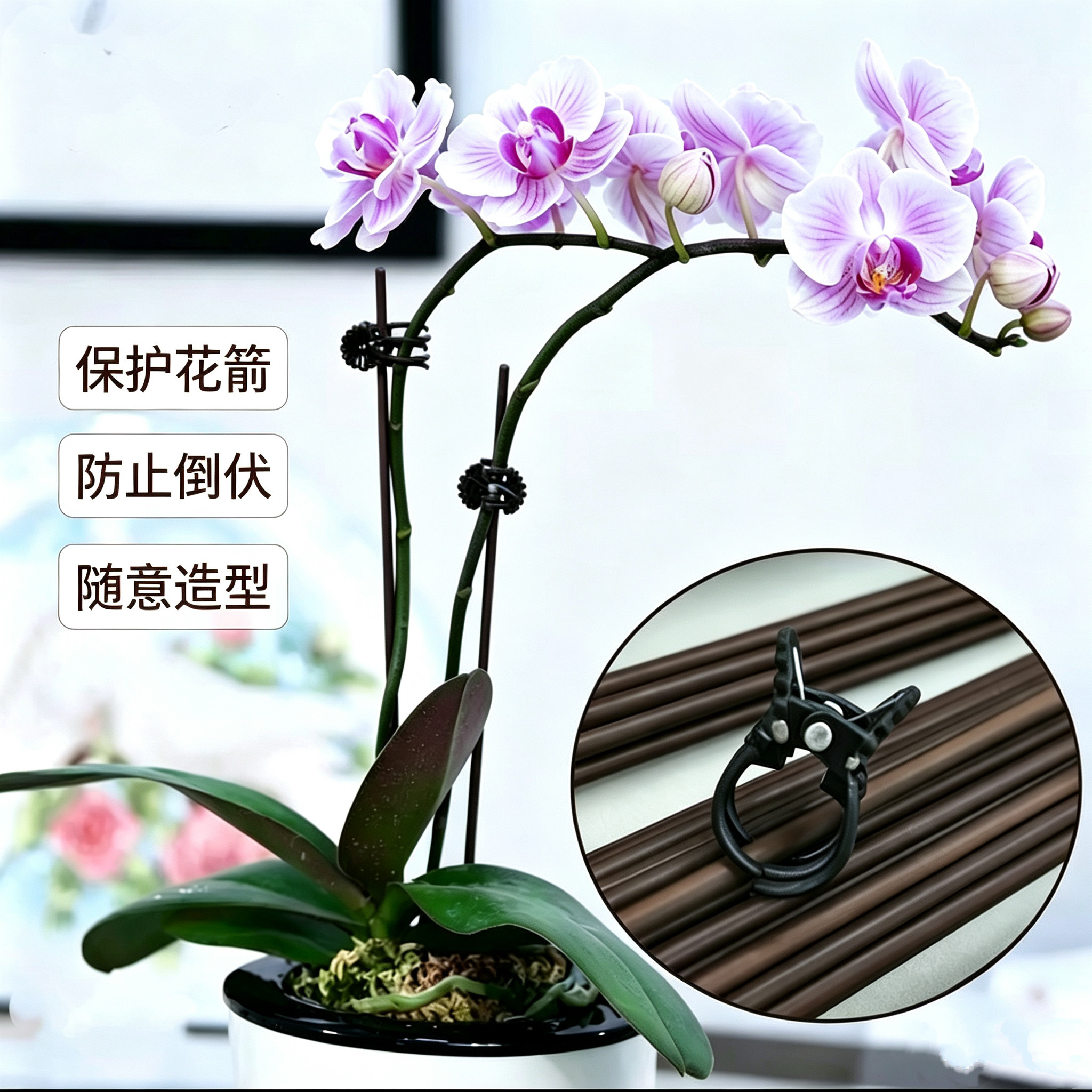 蝴蝶兰支架支撑杆造型架子园艺花卉花枝夹子蔓藤爬藤植物固定夹子