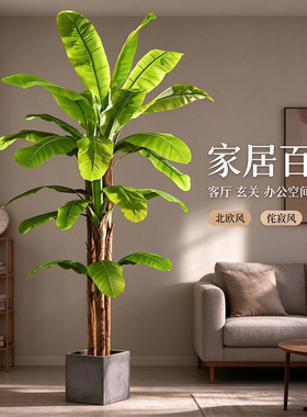 仿真绿植芭蕉树夏季户外室内轻奢落地装饰海南清凉风假植物仿生花