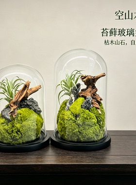空山木屿中式禅意苔藓玻璃盆景 室内桌面绿植微景观 茶室书房摆件