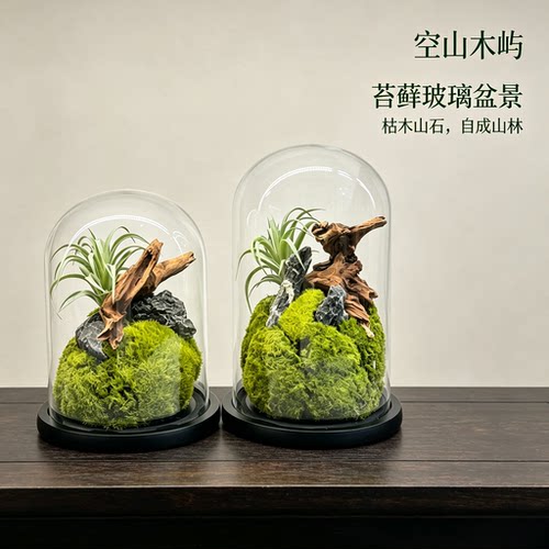 空山木屿中式禅意苔藓玻璃盆景 室内桌面绿植微景观 茶室书房摆件