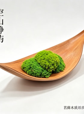 禅意永生苔藓原木托盘 绿植微景观样板间书房桌面原生态软装摆件