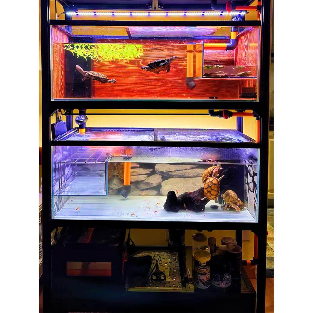 乌龟缸 系统缸 排缸 乌龟繁殖缸窄桥龟剃刀组缸 可加产蛋池和爬梯