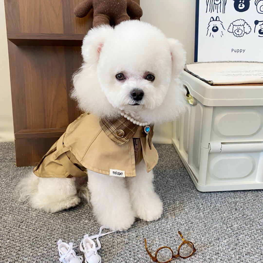 英伦风衣外套裙娃娃领腰带宠物服装小狗猫猫胖狗狗衣服裙子宠物衣