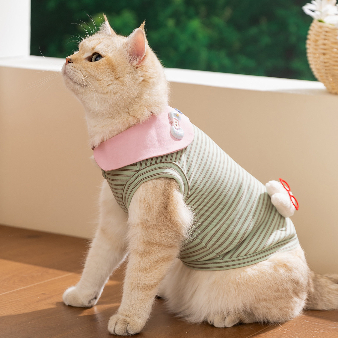 26年猫咪条纹背心成幼猫薄款透气无袖狗狗宠物猫衣服