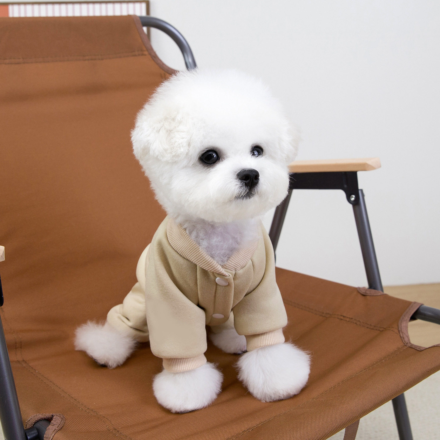 宠物衣服狗狗猫咪衣服宠物服装秋冬绒宠物四腿绒衣动感四腿卫衣