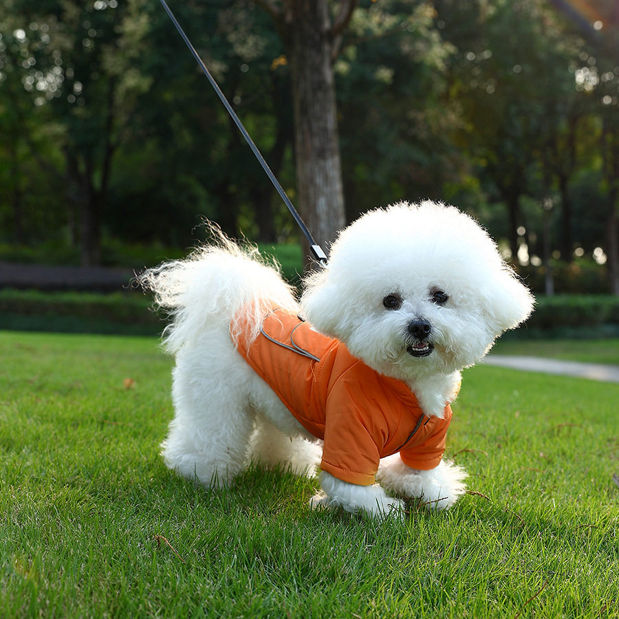冬季新款加厚狗狗服饰泰迪比熊宠物中小型犬衣服两脚马四背心棉衣