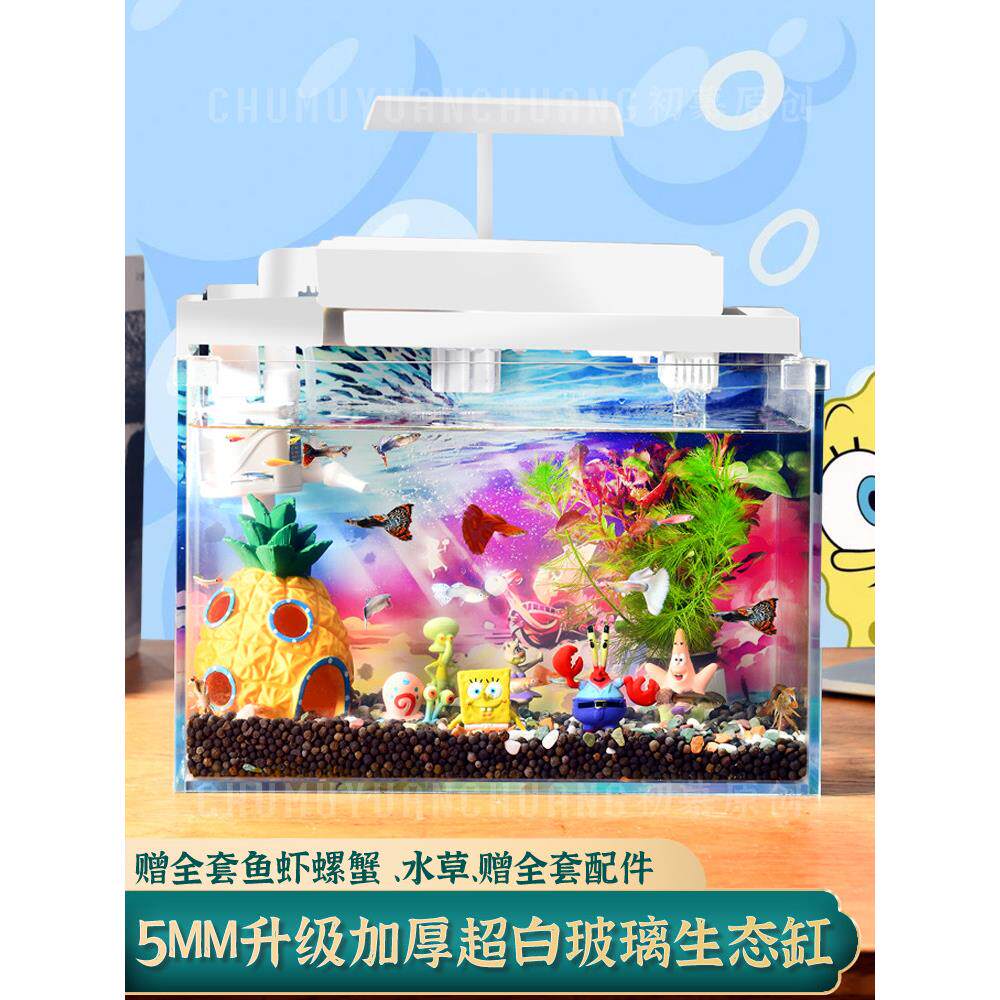 小超白玻璃鱼缸桌面懒人无需换水生态小鱼缸草全套迷你创意微景观