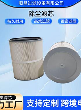 无纺布工业抛丸机粉末回收防静电滤芯喷砂机覆膜工业除尘滤筒