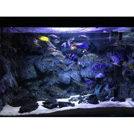 鱼缸水族箱PU仿岩石三湖造景立体感强3D背景板青龙石