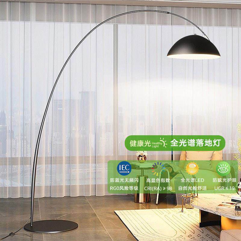 全光谱护眼钓鱼灯落地灯客厅沙发装饰边角设计感氛围智能卧室灯具