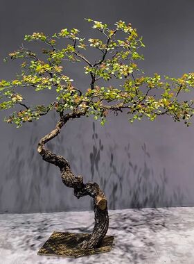 精品海岛春花仿真绿植室内装饰造景落地摆件简约植物中式茶室景观