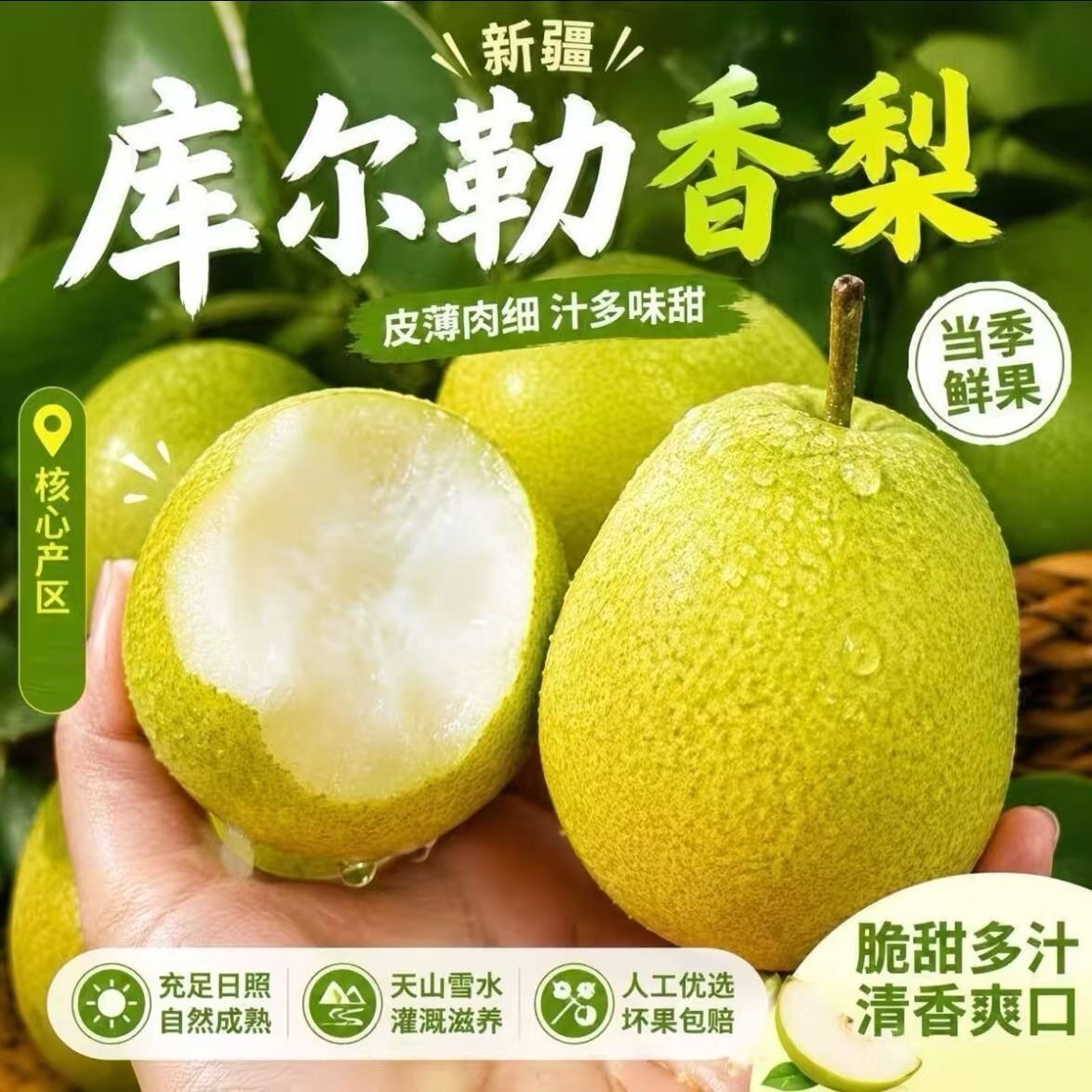 库尔勒新鲜脆甜香梨细腻多汁当季应季水果产地直发