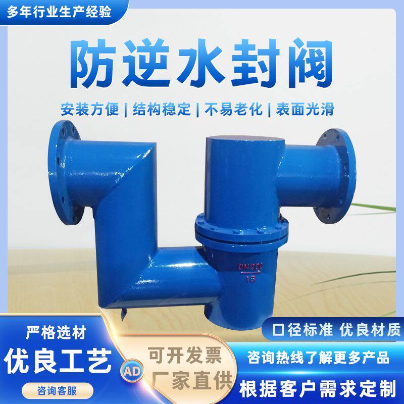 防逆水封升降式止回阀碳钢防逆水封阀大口径双封自净防逆水封阀