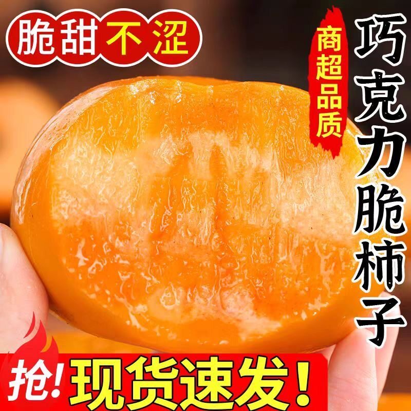 正宗阳丰脆柿子甜柿巧克力脆柿树上熟果香浓郁清脆甜爽新鲜采摘