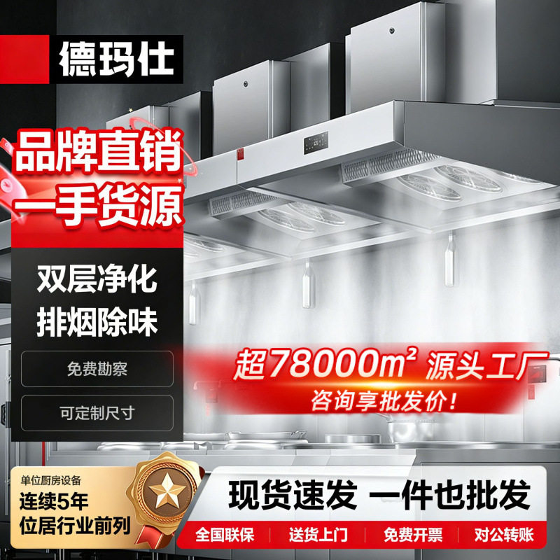 德玛仕大吸力商用油烟净化器一体机大型双电机抽油烟机饭店专用