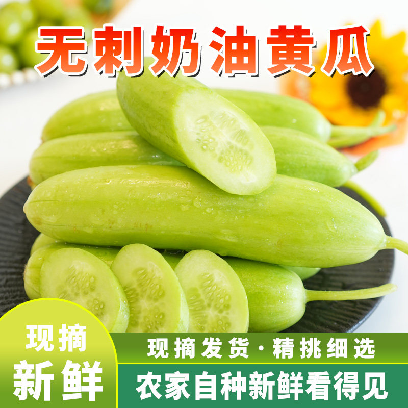 无刺奶油小黄瓜现摘现发即食农家甜脆可口脆嫩爽口新鲜奶油黄瓜