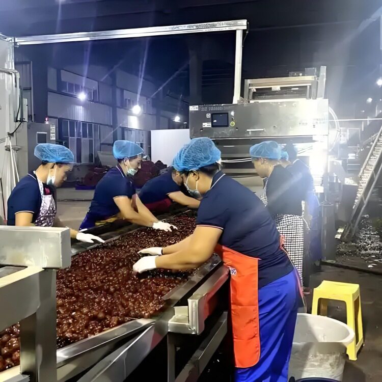 核桃给袋包装生产线碧根果自动高速包装机松子干果食品生产设备