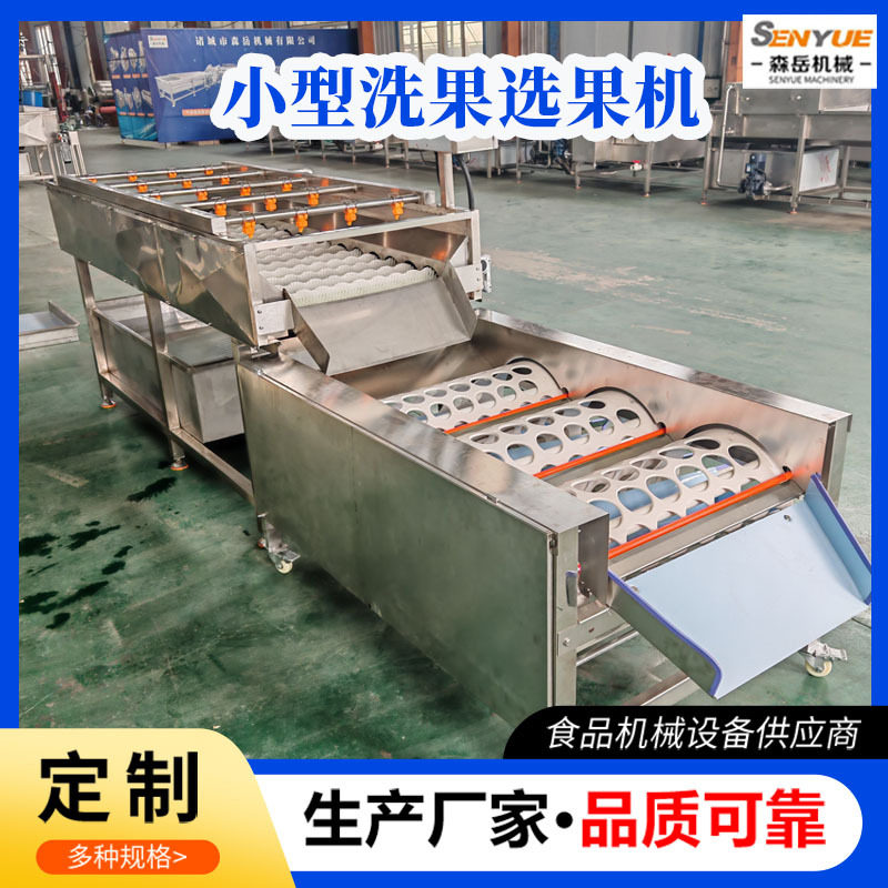 果园商用小型洗果机一小时500-800公斤水循环柑橘水果清洗选果机