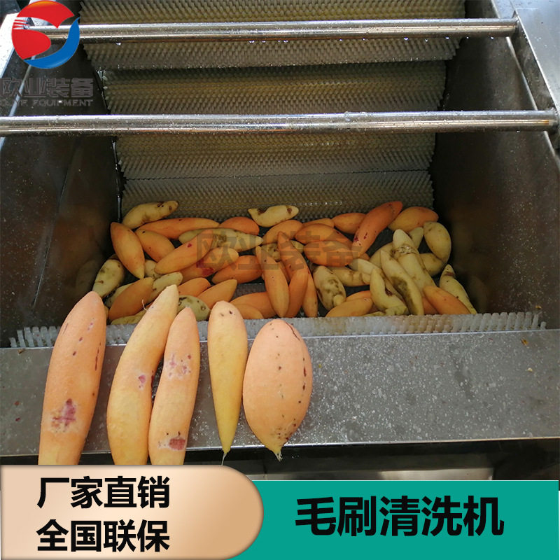 生产厂家直供厨房土豆去皮机小型毛刷清洗机去泥去皮两用
