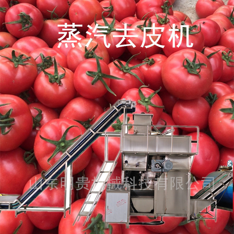 西红柿蒸汽去皮机全自动高温烫皮机器果蔬快速脱皮加工设备