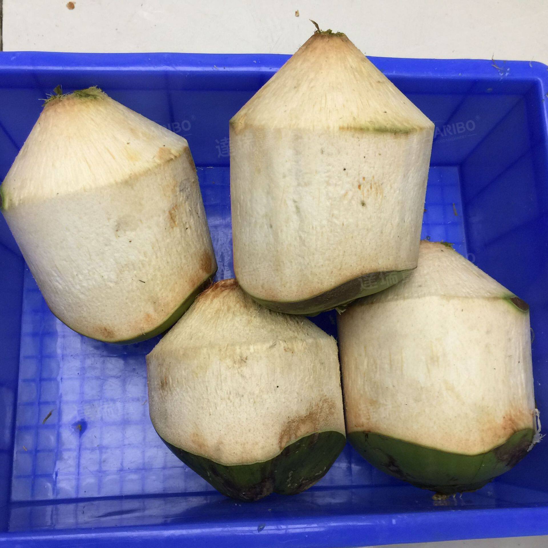 W青椰子全自动削皮机椰子削皮机器一键式按钮操作可调直径刀速