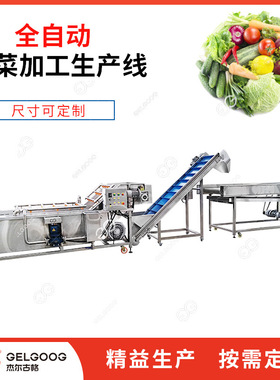 中央厨房蔬菜全套清洗切分加工机器机械蔬菜清洗生产流水线设备