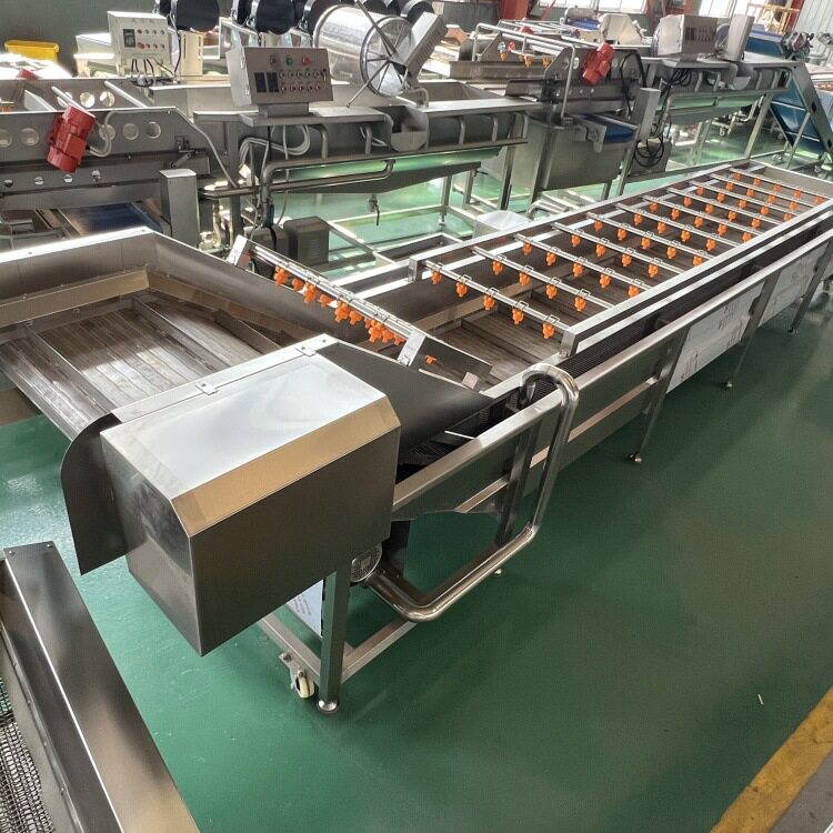 果蔬气泡清洗机樱桃桃子清洗设备厂家学校食堂不锈钢果蔬清洗机