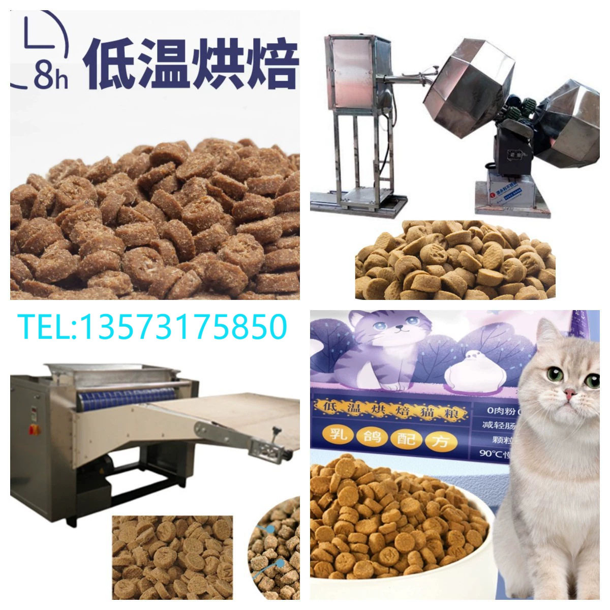 牛蛙饲料机器鱼虾水产饲料生产线宠物粮加工设备厂家