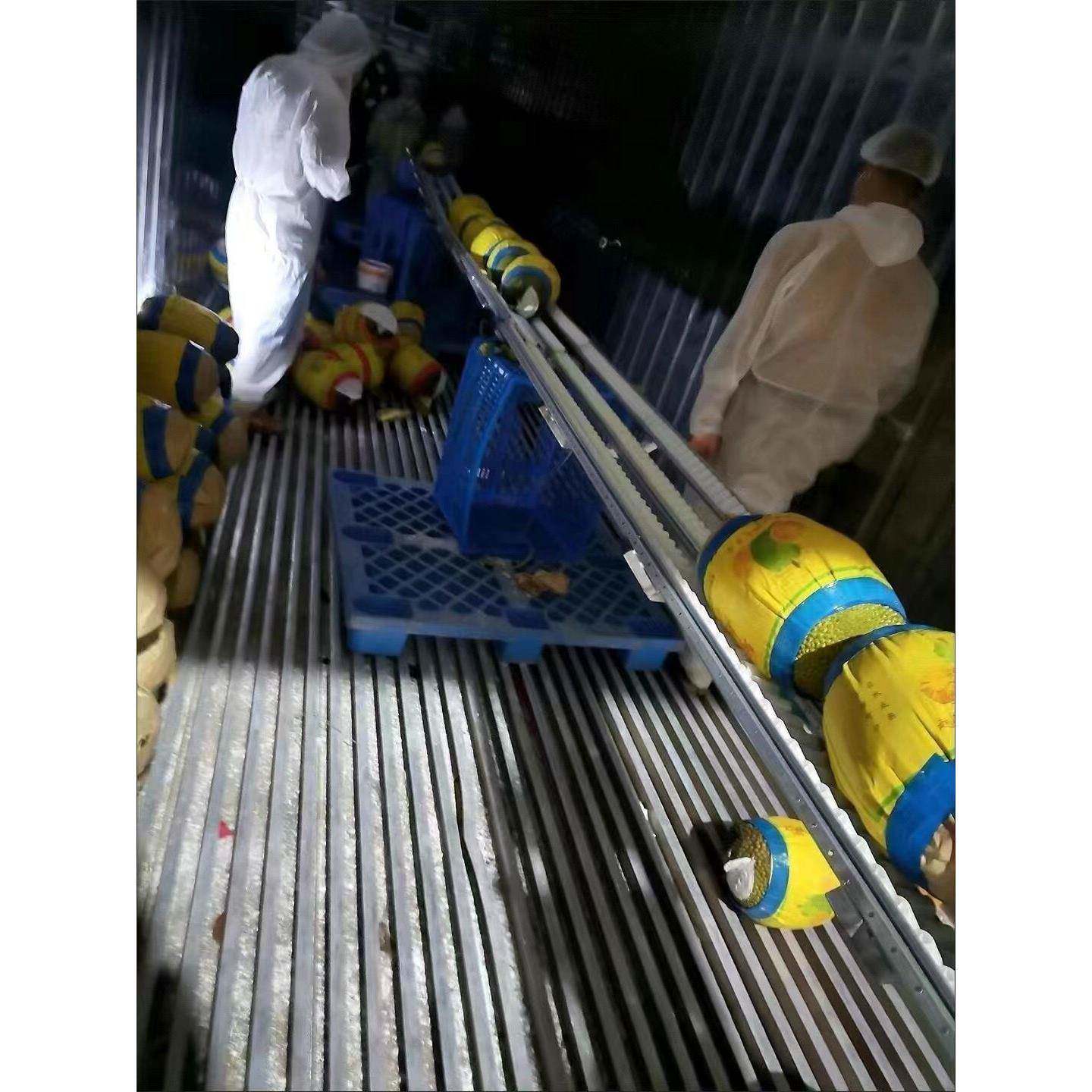 菠萝蜜卸料滑轮水果袋装无动力输送机滚筒镀锌钢板框架储存流程