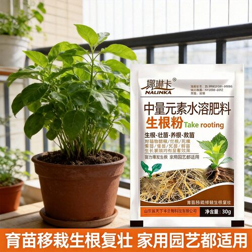 壮苗用生根粉娜琳卡水溶肥料救苗生根壮苗养根生根粉蔬菜育苗移栽