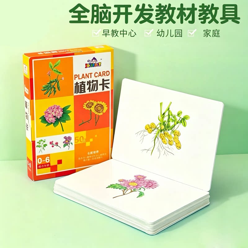 多乐智植物卡片早教闪卡幼儿园家庭全脑开发教学具启蒙认知卡牌