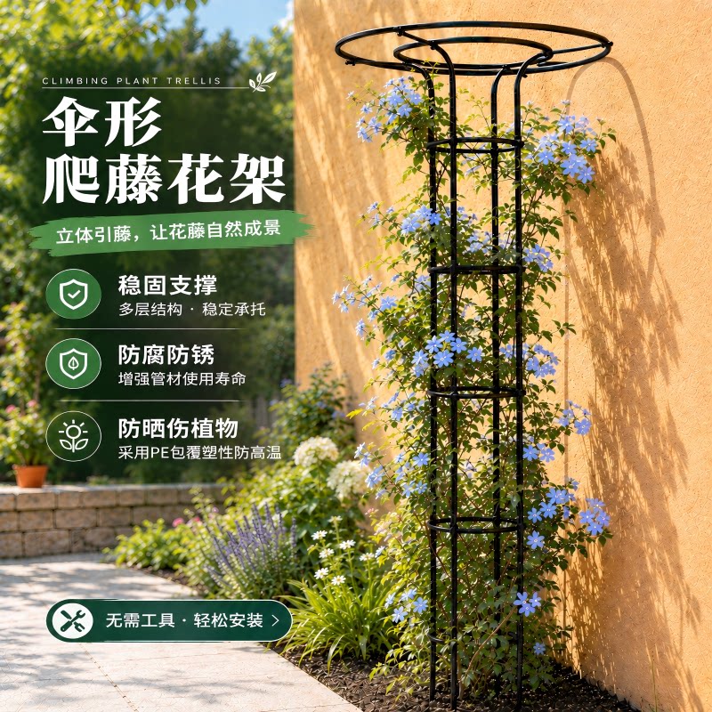 高颜值伞形花架稳固结实