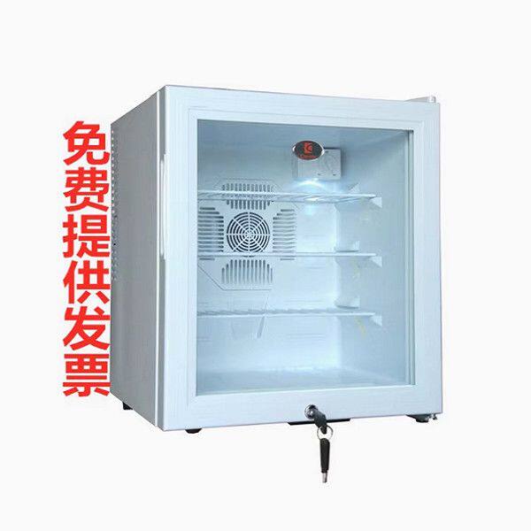 20L车载冰箱小型学校幼儿园食堂食品留样柜留样冰箱冷藏车家两用