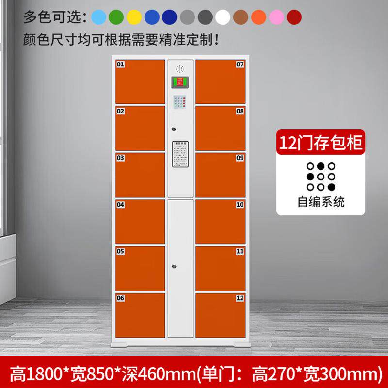 超市电子存包柜智能储物柜商场学校人脸识别刷卡微信扫码寄存柜