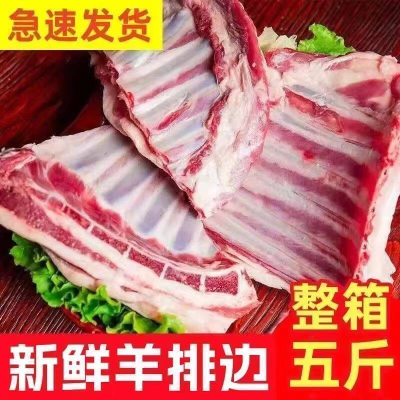 新鲜正宗羊排尖羊肉包邮煲汤原切无拼接肥瘦相间羊肋排现切羊肉鲜