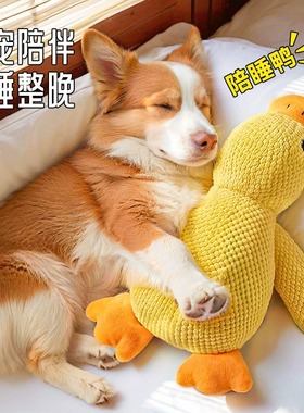 狗狗玩具解闷神器陪伴鸭子宠物小狗毛绒玩偶大狗自嗨发声磨牙耐咬