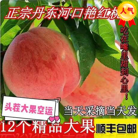今年结束,明年约丹东河口燕红桃艳红桃礼盒装10斤12桃水蜜