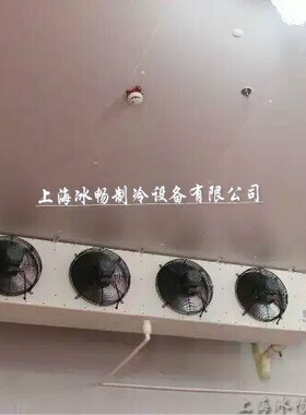 D型冷风机 DL185 D型全系列冷风机 DL/10-DL/410 冷库内机