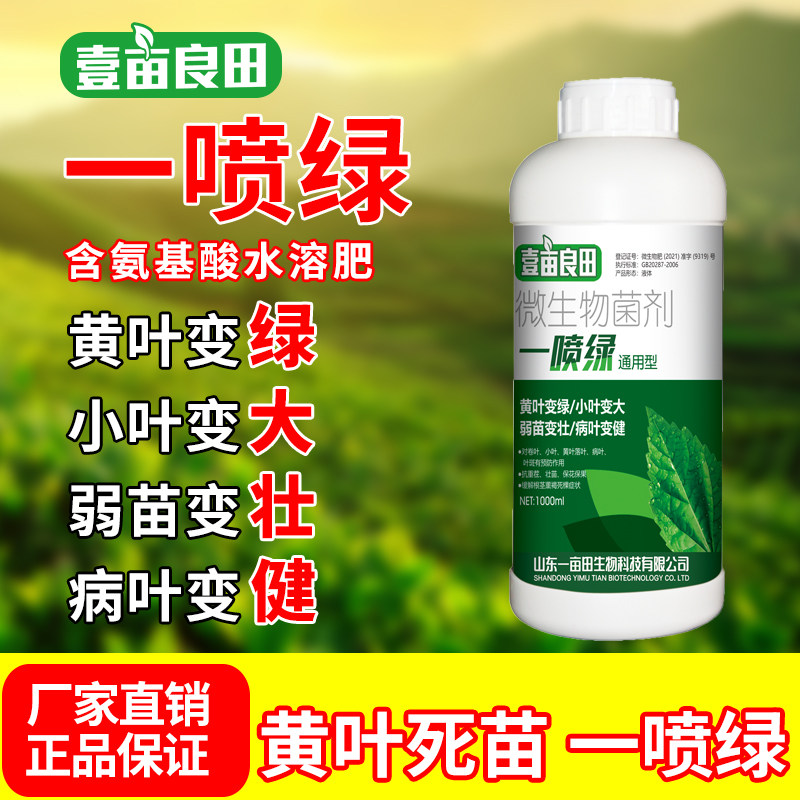 德国进口一喷绿黄叶枯死变绿含氨基酸蔬菜花卉叶绿素微量元素叶面
