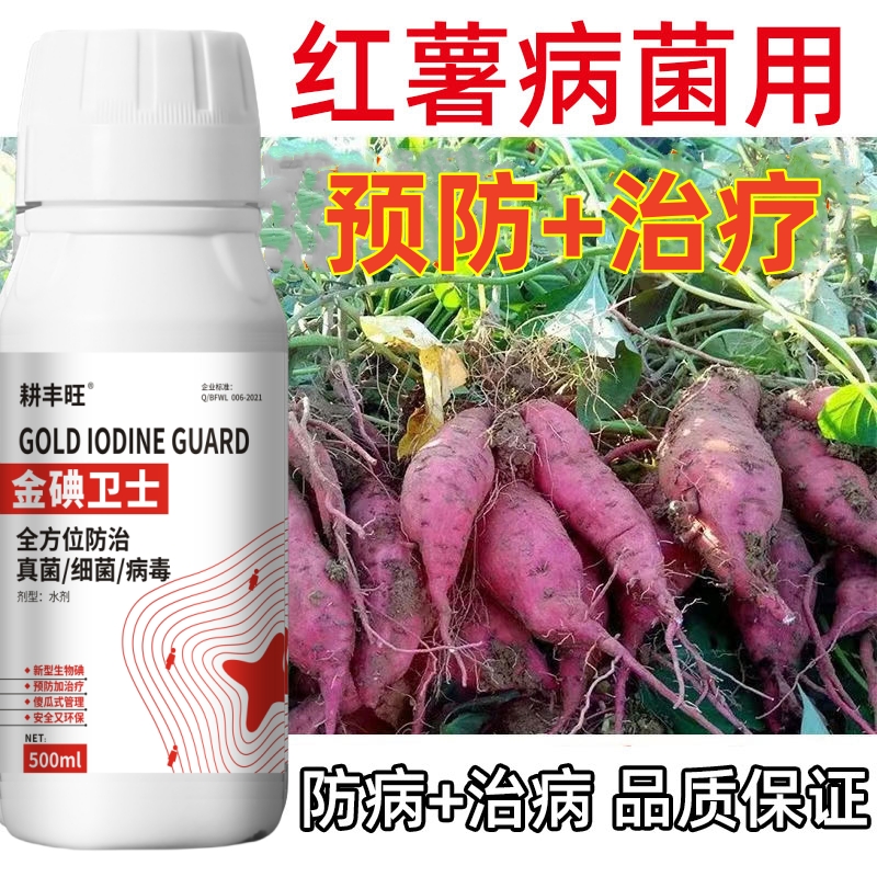 德国进口红薯杀菌剂红薯病害药地瓜病全治全杀专治灰斑病根腐病茎