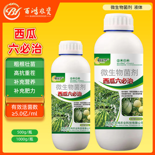德国进口西瓜六必治专用药病全治炭疽病白粉病叶枯病根腐病霜霉疫