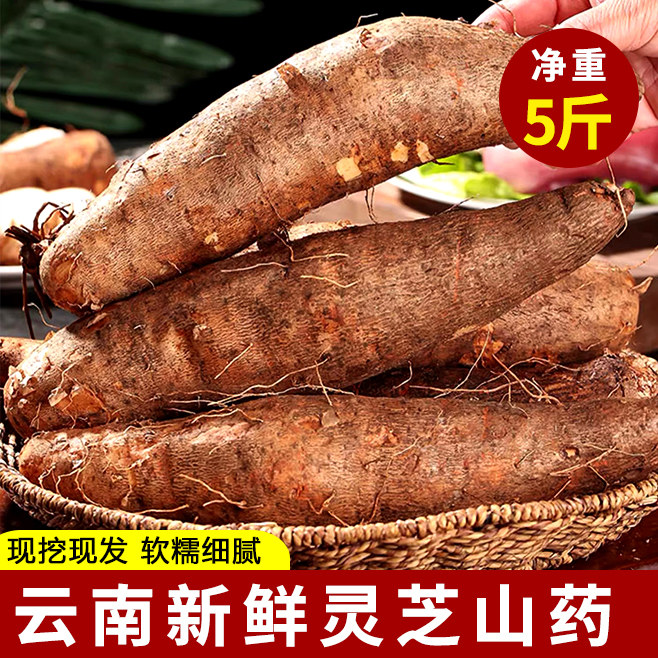 云南新鲜糯米山药淮山药金秤砣灵芝山药粉糯非铁棍农家蔬菜5斤